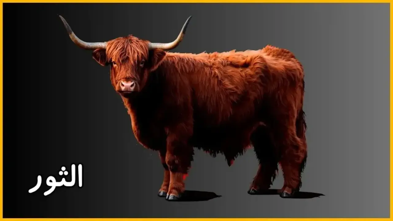 أحذر من التهور! حظك اليوم برج الثور الثلاثاء: يوم الاستقرار والفرص العملية